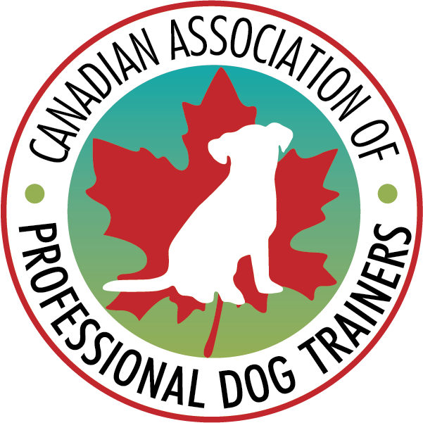CAPDT Member
